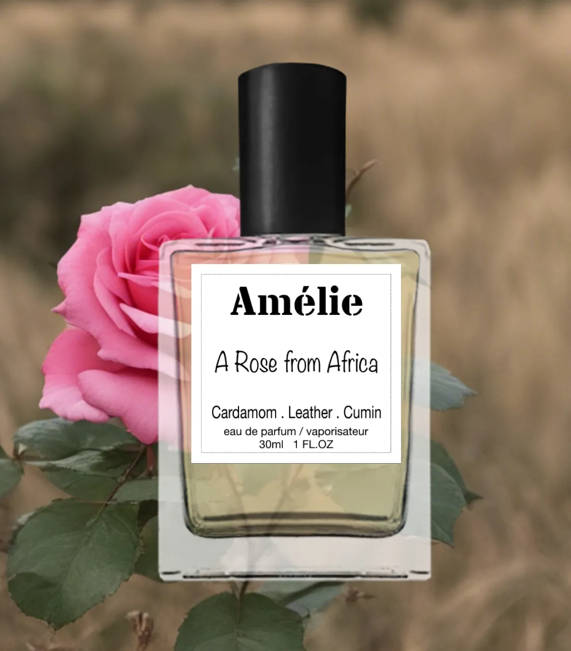 A Rose from Africa