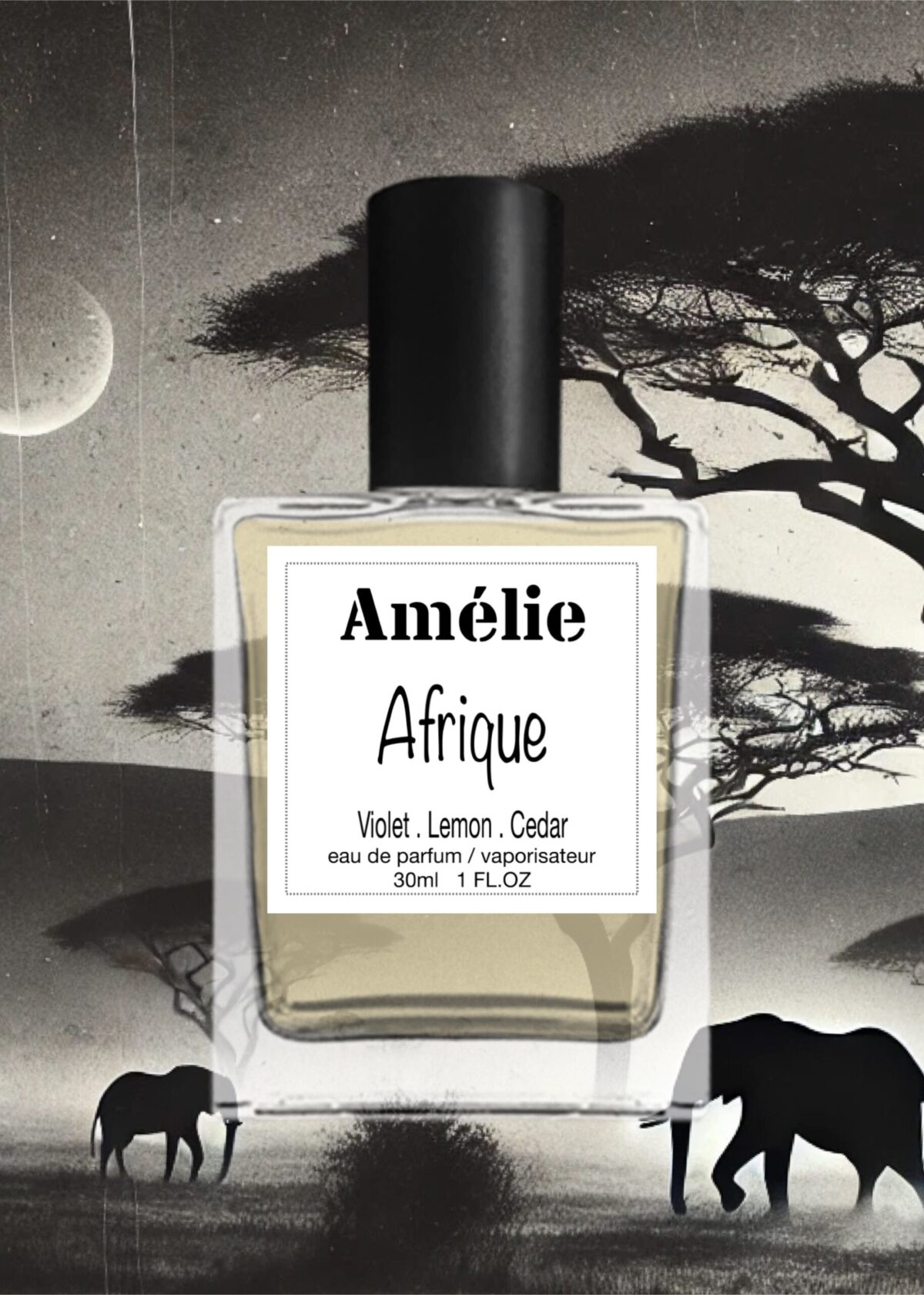 Amelie in New York - Afrique - Image 2