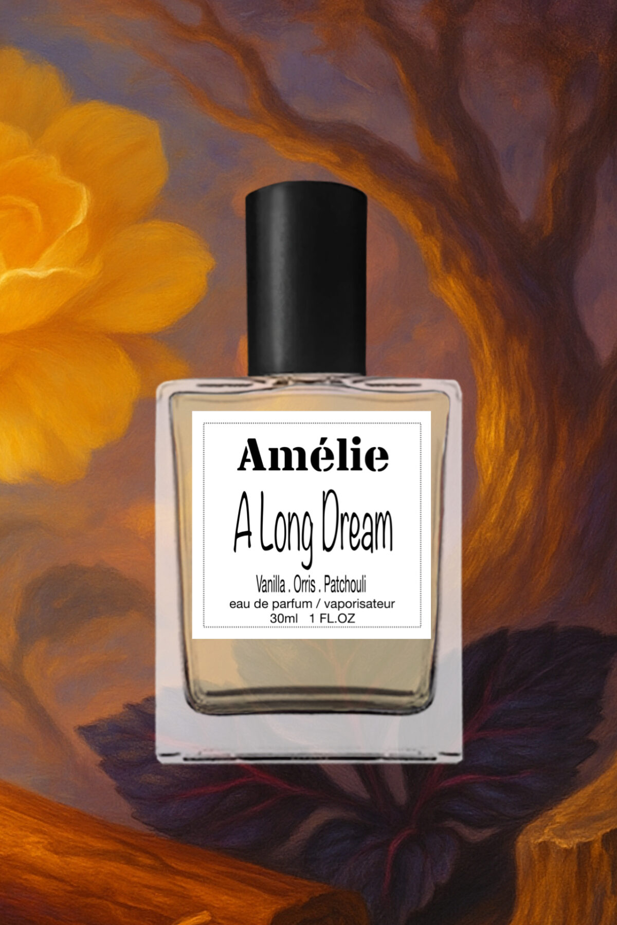 Amelie in New York - A Long Dream - Image 2