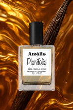 Amelie in New York - Planifolia - Image 2