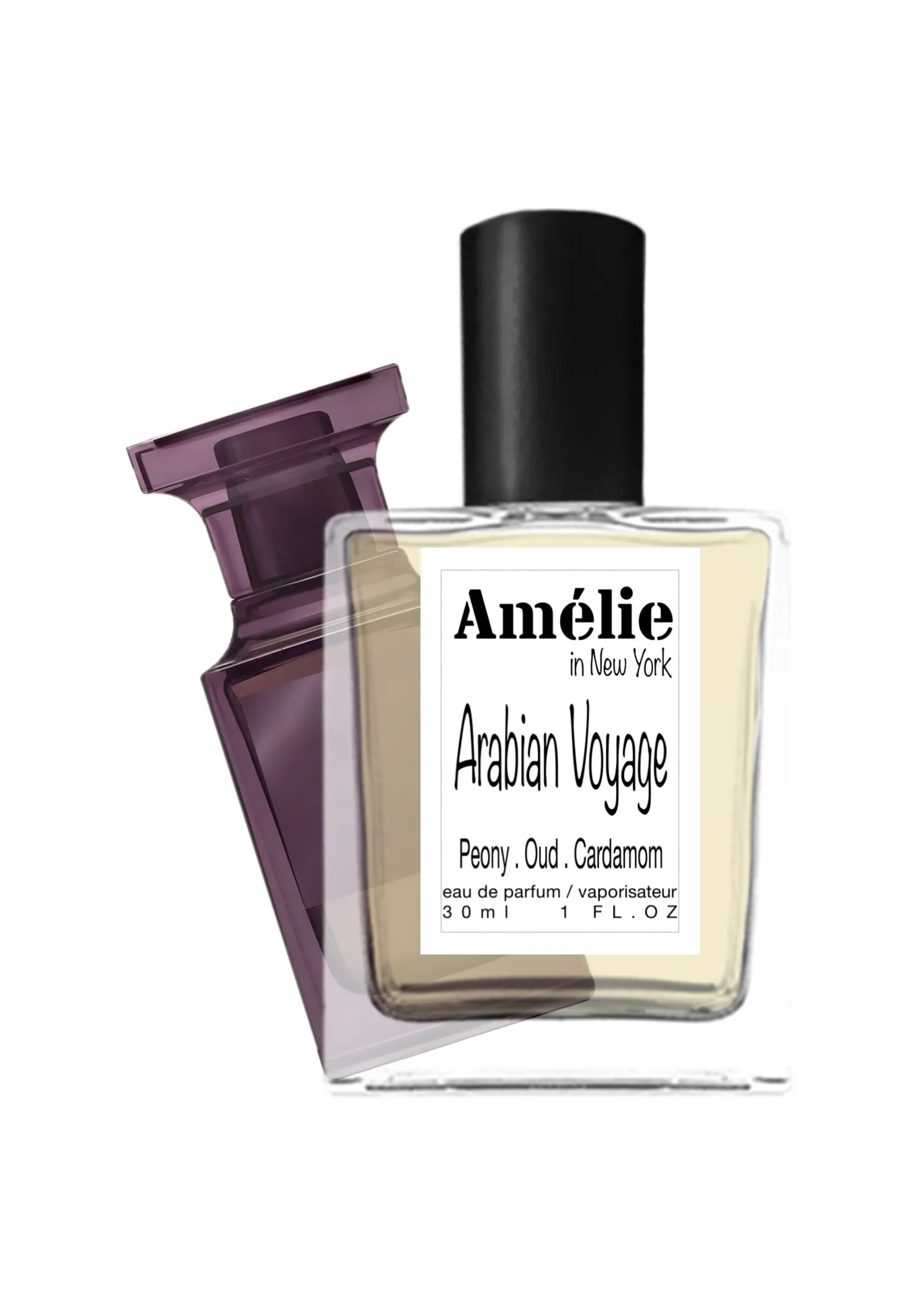 Arabian Voyage