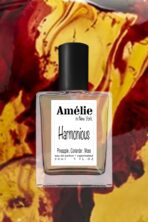 HARMONIOUS - Image 2