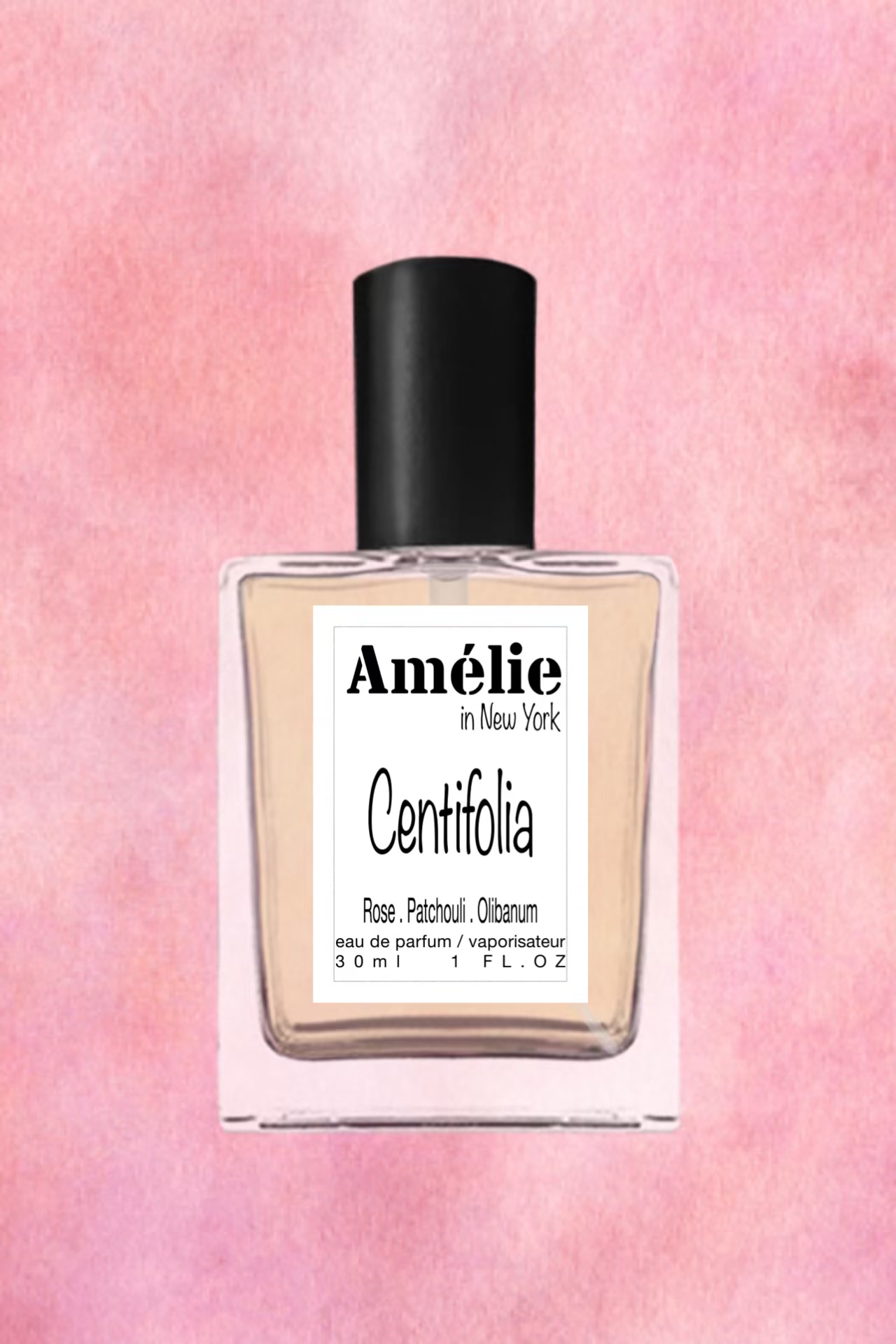 IMG_1107-compressed Centifolia - Image 2