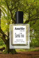 Santal Tree - Image 2