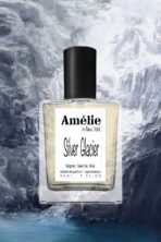 Silver Glacier - Image 2